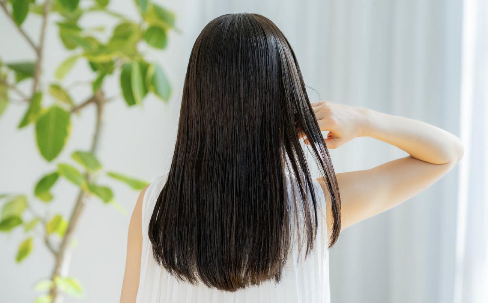 Healthy, glossy hair seen from behind beside green foliage