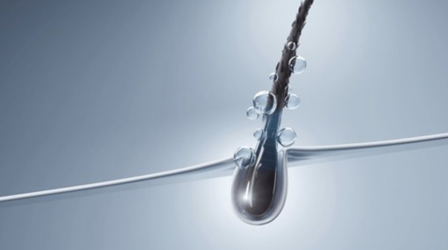 A droplet of moisture held on a single strand of hair